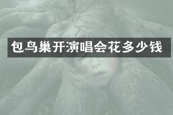 包鸟巢开演唱会花多少钱