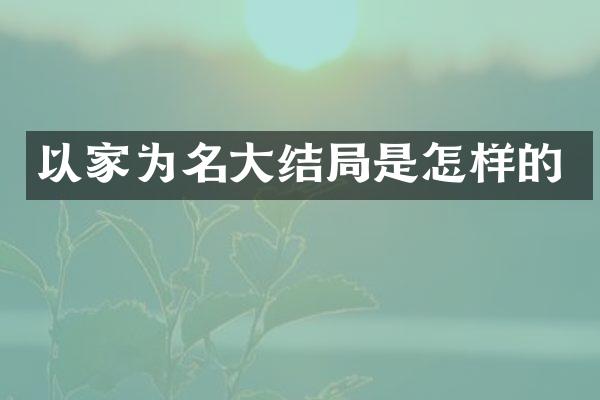 以家为名大结局是怎样的