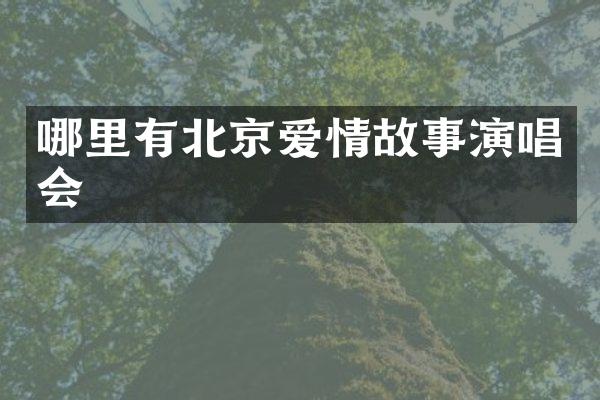 哪里有北京爱情故事演唱会