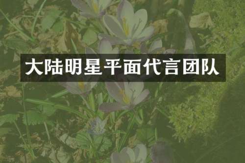大陆明星平面代言团队