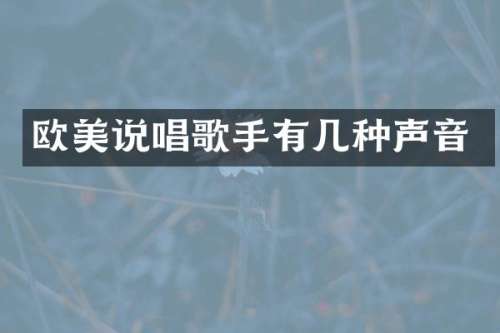 欧美说唱歌手有几种声音