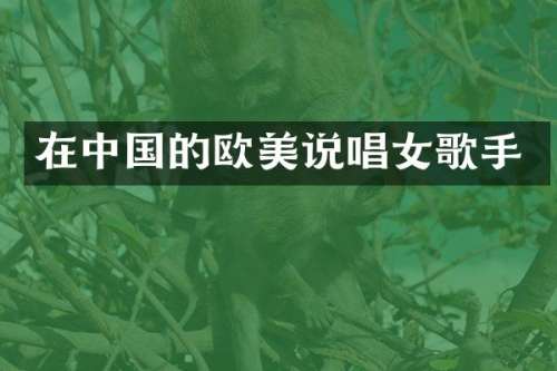 在中国的欧美说唱女歌手