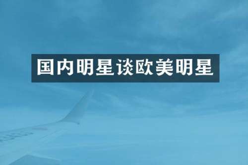 国内明星谈欧美明星