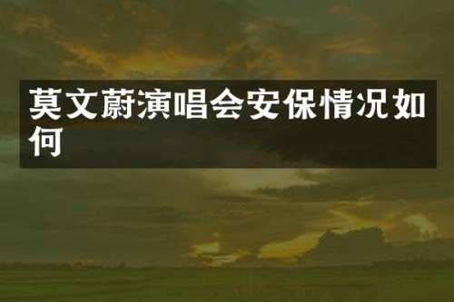 莫文蔚演唱会安保情况如何