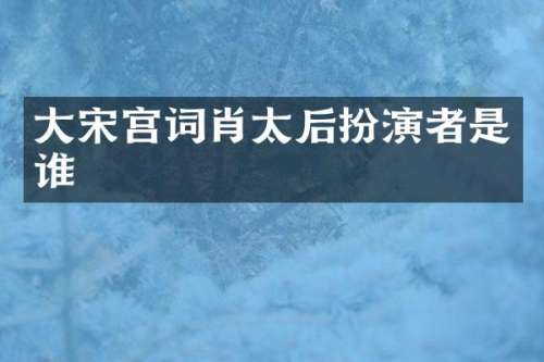 大宋宫词肖太后扮演者是谁
