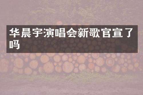 华晨宇演唱会新歌官宣了吗