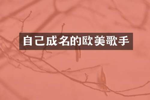 自己成名的欧美歌手