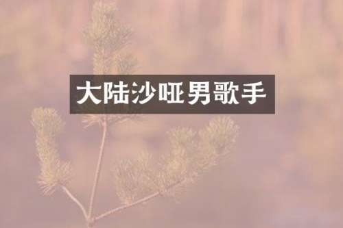 大陆沙哑男歌手