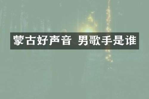 蒙古好声音 男歌手是谁