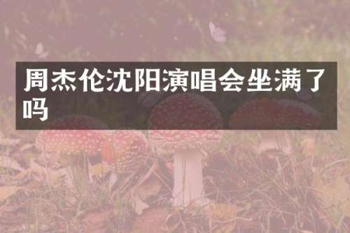 周杰伦沈阳演唱会坐满了吗