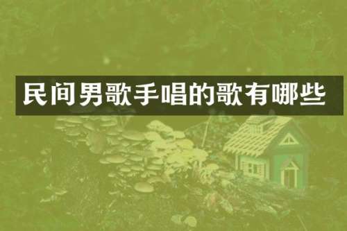 民间男歌手唱的歌有哪些