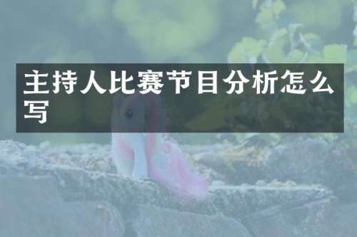 主持人比赛节目分析怎么写