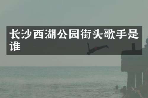 长沙西湖公园街头歌手是谁
