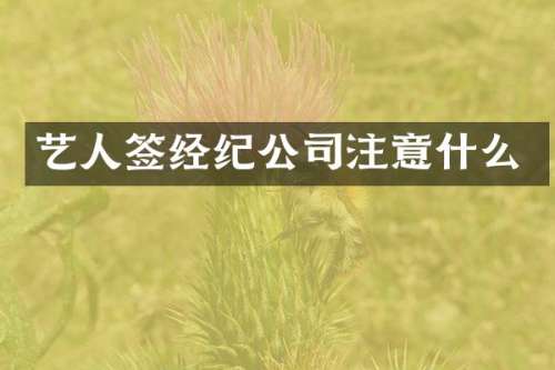 艺人签经纪公司注意什么