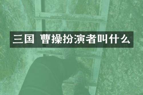 三国 曹操扮演者叫什么