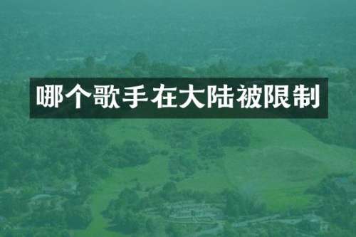 哪个歌手在大陆被限制