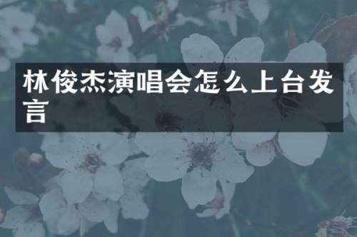 林俊杰演唱会怎么上台发言
