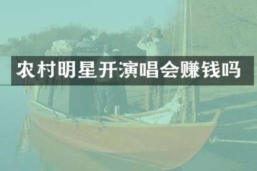 农村明星开演唱会赚钱吗
