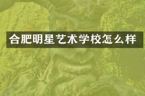 合肥明星艺术学校怎么样