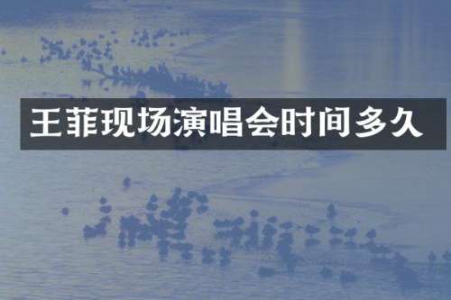 王菲现场演唱会时间多久