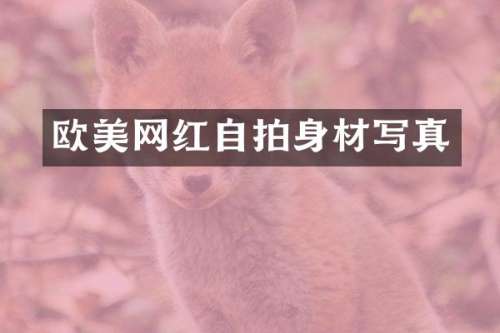 欧美网红自拍身材写真