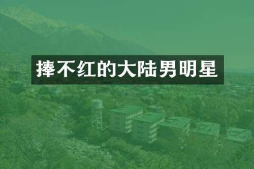 捧不红的大陆男明星
