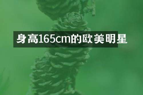 身高165cm的欧美明星