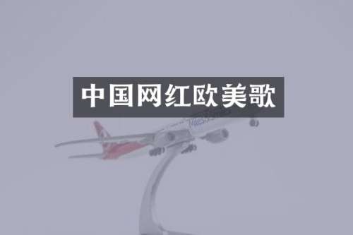 中国网红欧美歌