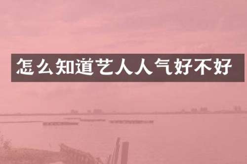 怎么知道艺人人气好不好
