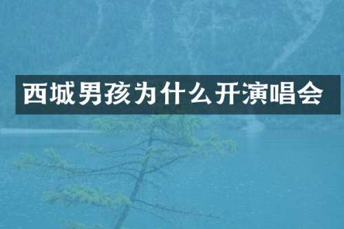 西城男孩为什么开演唱会