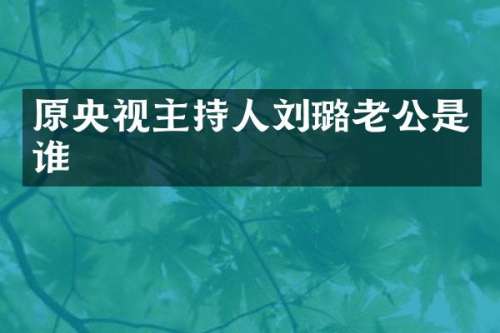 原央视主持人刘璐老公是谁