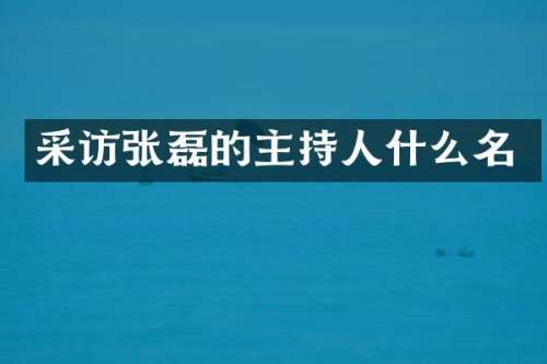 采访张磊的主持人什么名