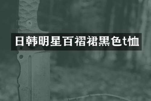 日韩明星百褶裙黑色t恤