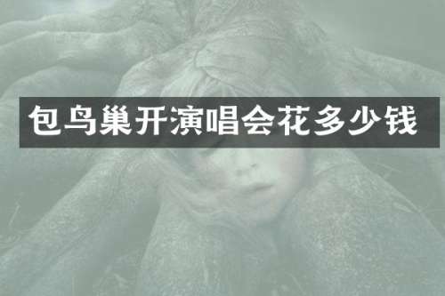 包鸟巢开演唱会花多少钱