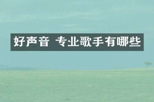 好声音 专业歌手有哪些