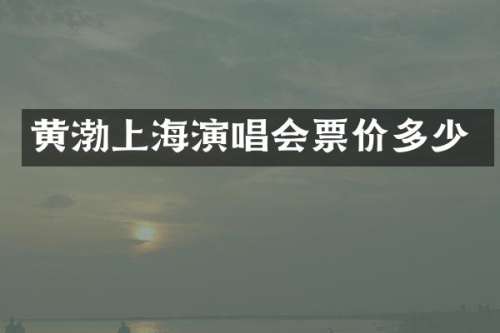 黄渤上海演唱会票价多少