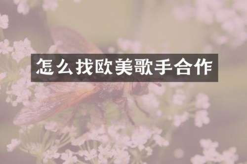 怎么找欧美歌手合作