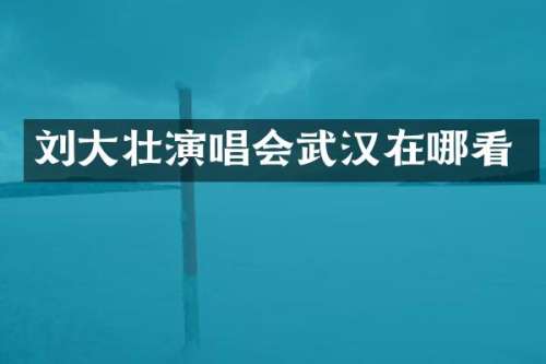 刘大壮演唱会武汉在哪看