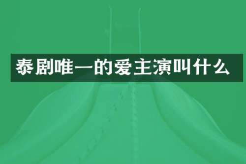 泰剧唯一的爱主演叫什么