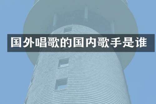 国外唱歌的国内歌手是谁