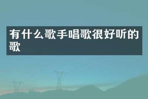 有什么歌手唱歌很好听的歌