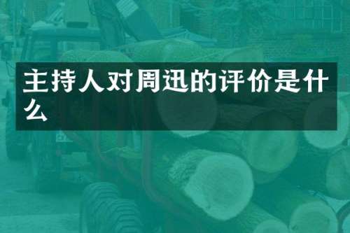 主持人对周迅的评价是什么