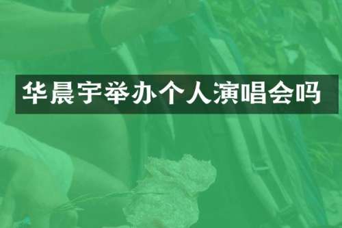 华晨宇举办个人演唱会吗