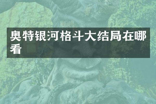 奥特银河格斗大结局在哪看