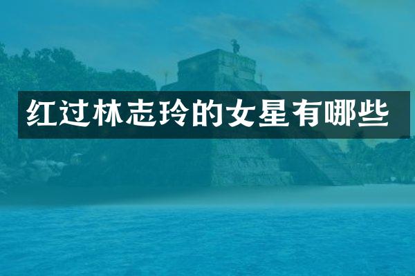 红过林志玲的女星有哪些