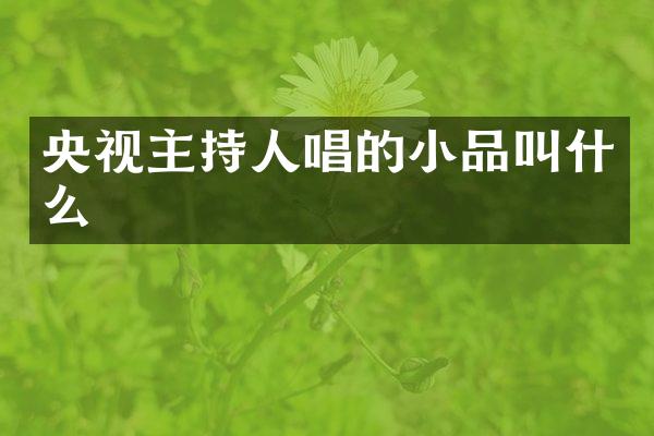 央视主持人唱的小品叫什么