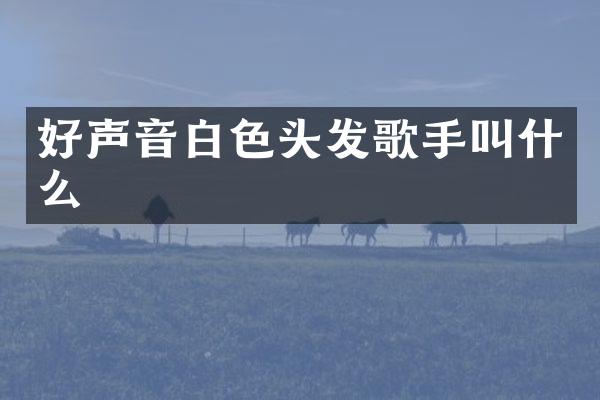 好声音白色头发歌手叫什么
