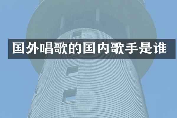 国外唱歌的国内歌手是谁