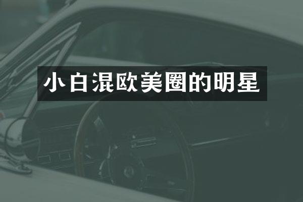 小白混欧美圈的明星