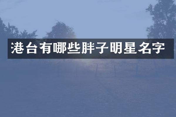 港台有哪些胖子明星名字